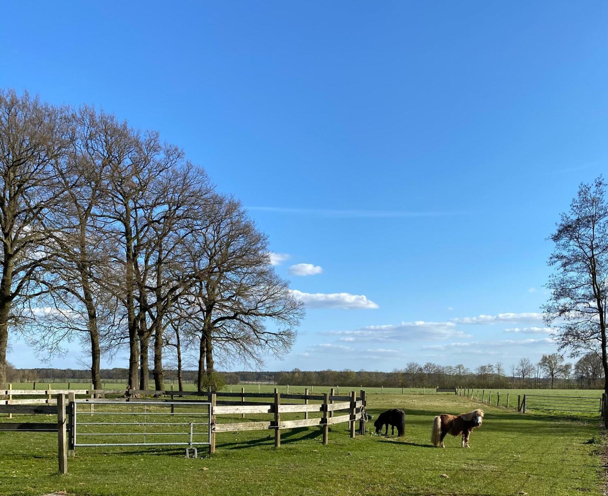 Ferienhof Westermann Waldblick Lähden 외부 사진
